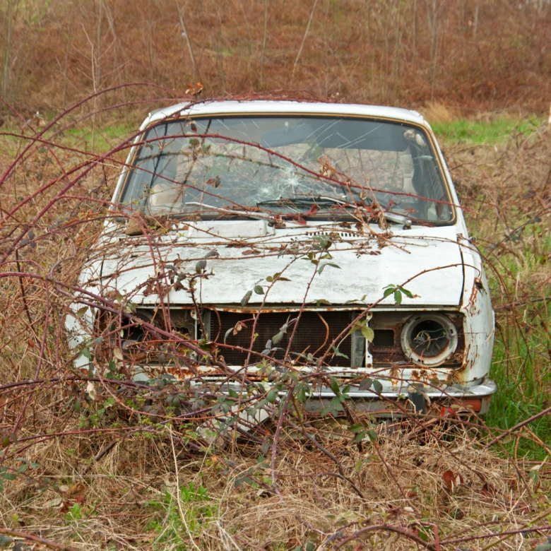 Zanedbané auto zarůstající keře a rostliny v přírodě.