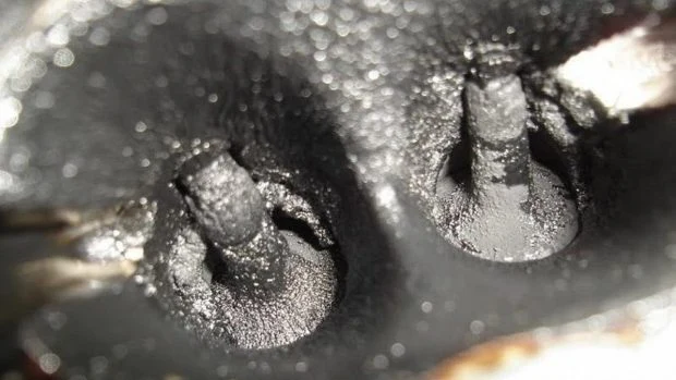 Uzbytky uhlíku na pístu a ventilu v motorovém válci