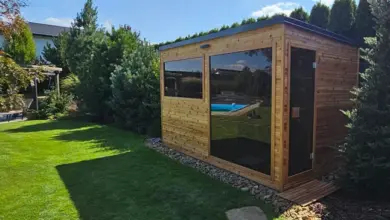 Wooden garden shed with glass panels