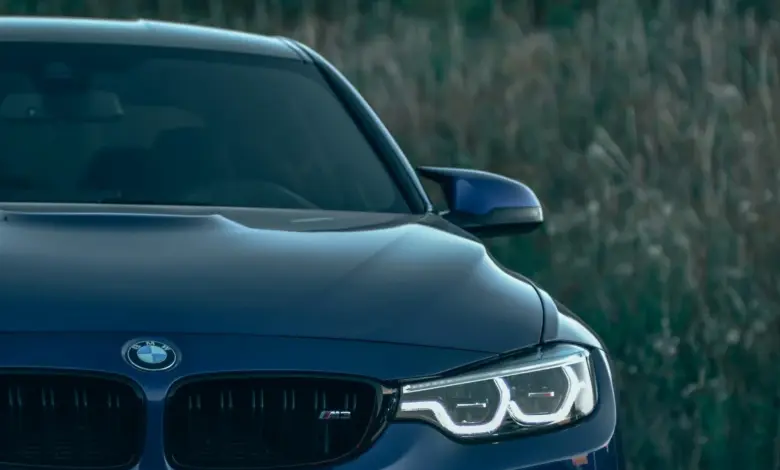 Modrý BMW zaparkovaný na zemi s vysokou trávou v pozadí.