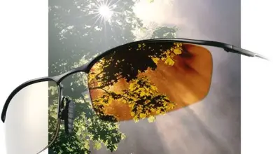 Žluté řidičské brýle s odrazem listí na slunečním pozadí.
