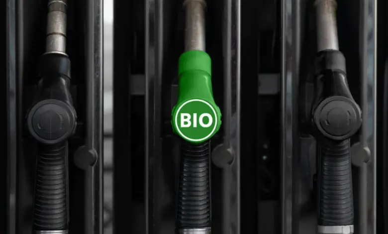 Zelená benzínová čerpadla s nápisem BIO pro biopaliva.